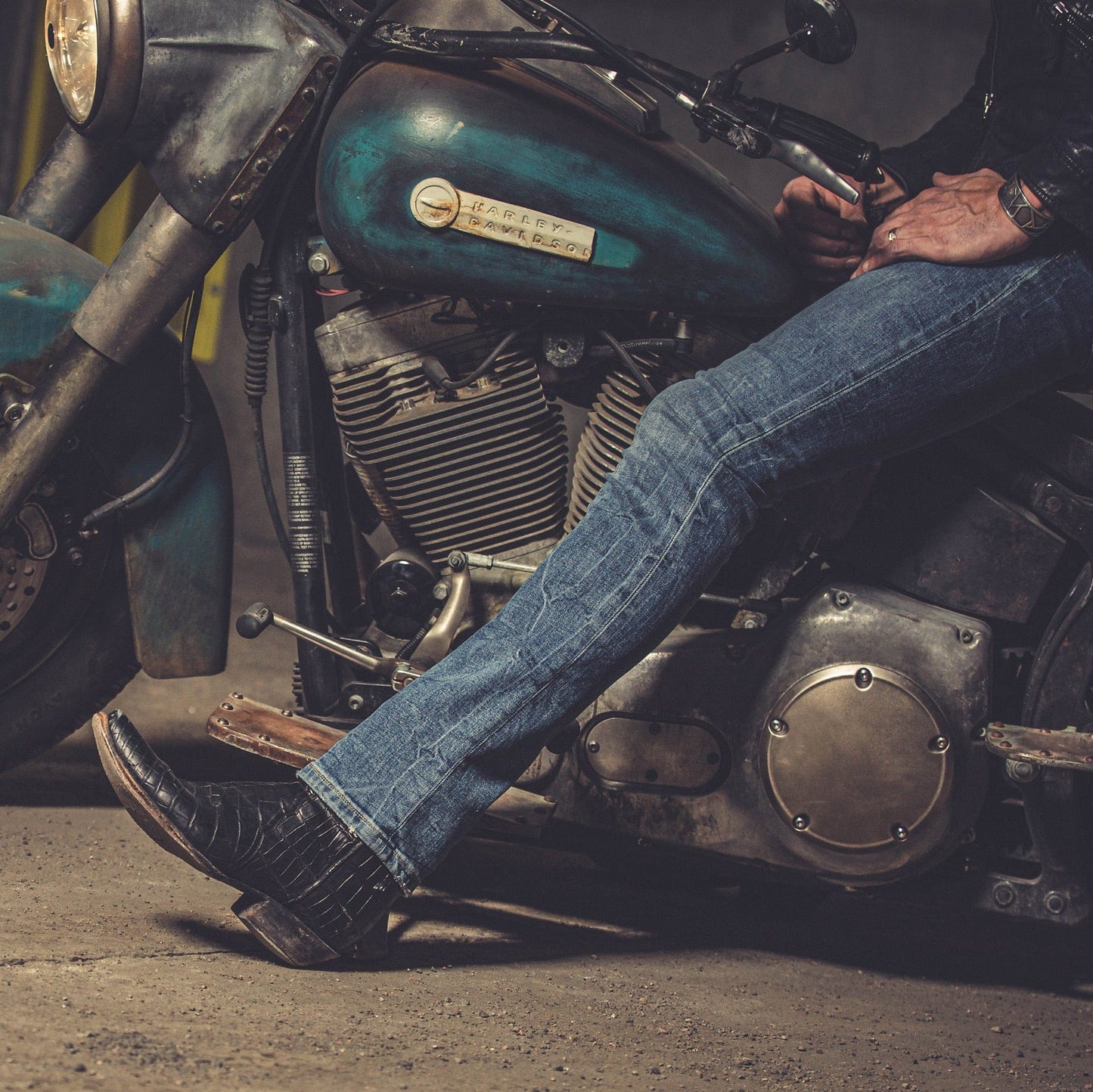 Black Crocodile Zorro