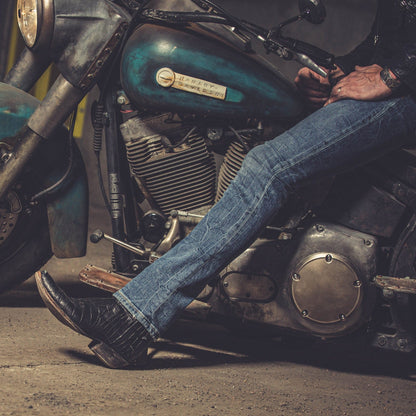 Black Crocodile Zorro